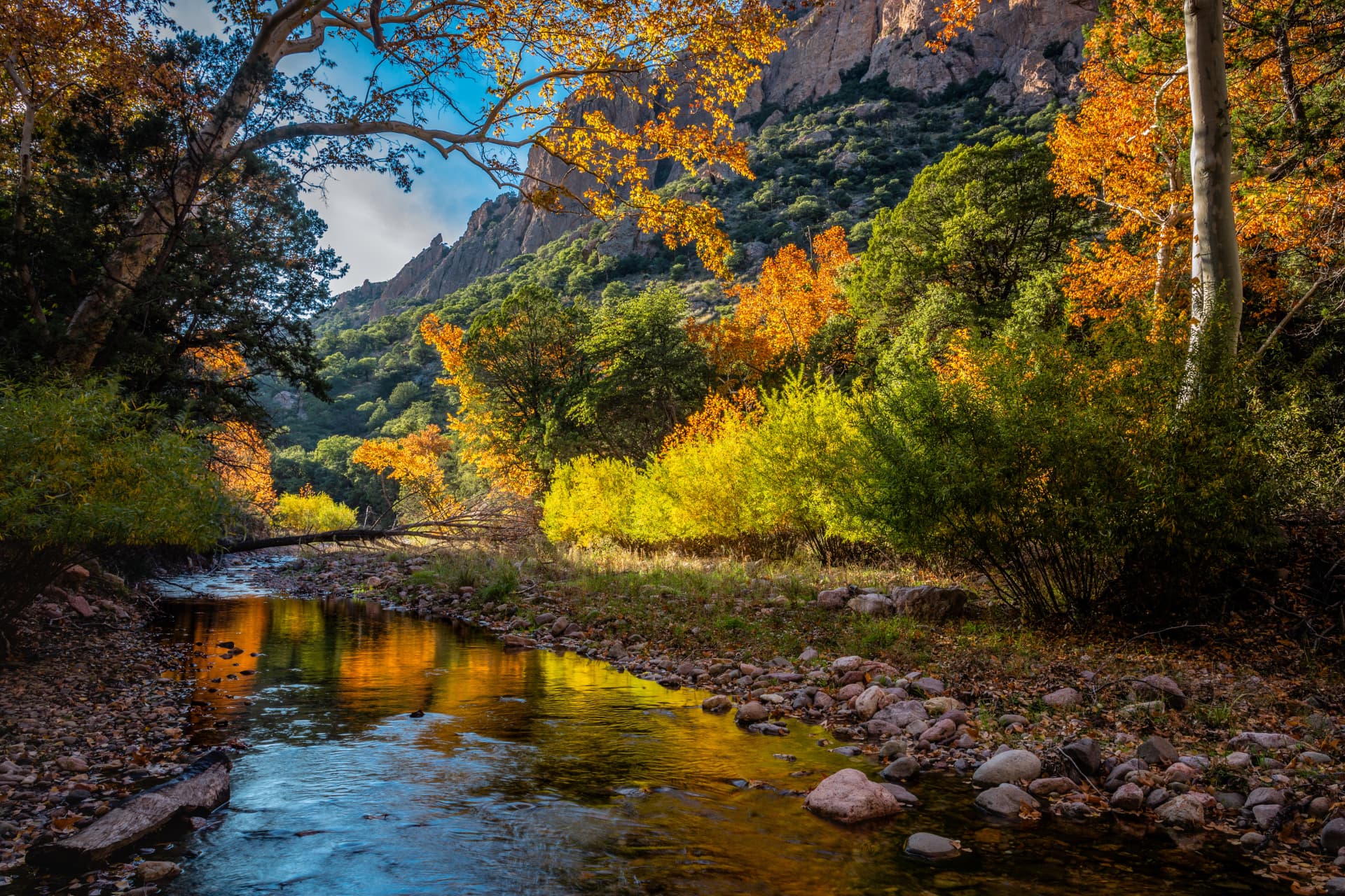 Cave Creek in autumn